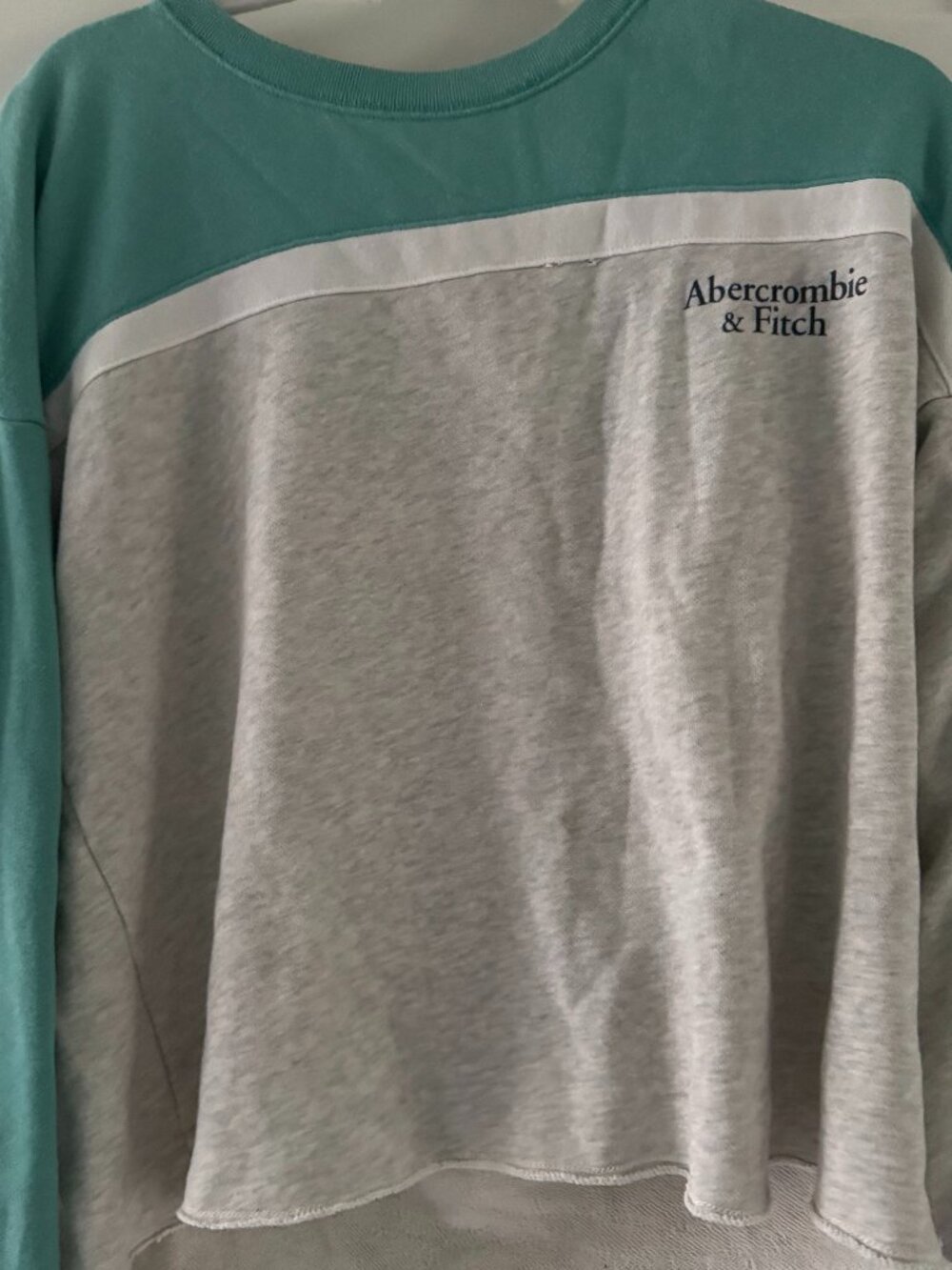 Abercrombie and Fitch Sweatshirt Cropped